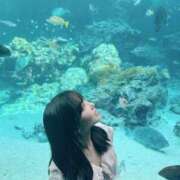 ヒメ日記 2025/10/06 21:32 投稿 はな コートダジュール