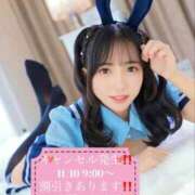 ヒメ日記 2025/11/08 10:02 投稿 はな コートダジュール