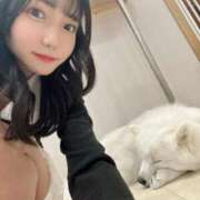 ヒメ日記 2025/11/25 12:01 投稿 はな コートダジュール