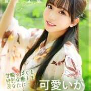 ヒメ日記 2025/11/26 10:02 投稿 はな コートダジュール