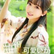 ヒメ日記 2025/12/07 12:03 投稿 はな コートダジュール