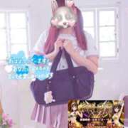 ヒメ日記 2024/12/17 05:21 投稿 しずく 電車ごっこ