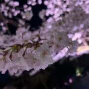 ヒメ日記 2025/04/04 17:04 投稿 しずく 電車ごっこ