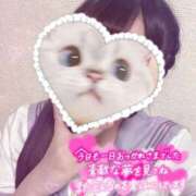 ヒメ日記 2025/04/08 00:20 投稿 しずく 電車ごっこ