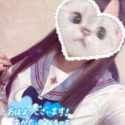 ヒメ日記 2025/04/26 09:12 投稿 しずく 電車ごっこ