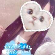 ヒメ日記 2025/04/27 09:40 投稿 しずく 電車ごっこ