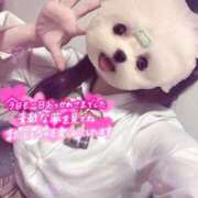 ヒメ日記 2025/05/04 00:24 投稿 しずく 電車ごっこ