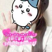 ヒメ日記 2025/05/11 00:20 投稿 しずく 電車ごっこ