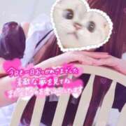 ヒメ日記 2025/05/11 22:40 投稿 しずく 電車ごっこ