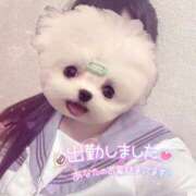 ヒメ日記 2025/05/21 18:19 投稿 しずく 電車ごっこ