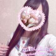 ヒメ日記 2025/05/23 16:10 投稿 しずく 電車ごっこ