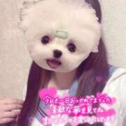 ヒメ日記 2025/05/24 00:27 投稿 しずく 電車ごっこ