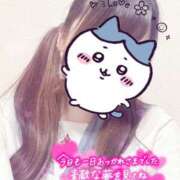 ヒメ日記 2025/06/08 00:00 投稿 しずく 電車ごっこ