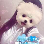 ヒメ日記 2025/06/08 10:20 投稿 しずく 電車ごっこ