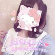 ヒメ日記 2025/06/20 16:10 投稿 しずく 電車ごっこ