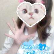 ヒメ日記 2025/08/20 09:30 投稿 しずく 電車ごっこ