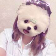 ヒメ日記 2025/08/23 10:20 投稿 しずく 電車ごっこ