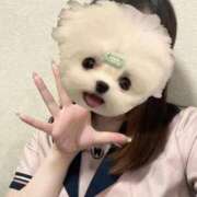 ヒメ日記 2025/09/23 16:00 投稿 しずく 電車ごっこ