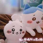 ヒメ日記 2025/09/27 12:40 投稿 しずく 電車ごっこ