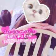 ヒメ日記 2025/10/01 00:50 投稿 しずく 電車ごっこ