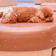 ヒメ日記 2026/01/24 21:10 投稿 しずく 電車ごっこ