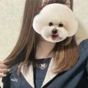 ヒメ日記 2026/01/25 09:21 投稿 しずく 電車ごっこ