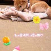 ヒメ日記 2026/02/03 23:30 投稿 しずく 電車ごっこ