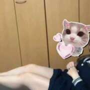 ヒメ日記 2026/02/19 19:50 投稿 しずく 電車ごっこ