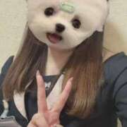 ヒメ日記 2026/03/07 09:36 投稿 しずく 電車ごっこ