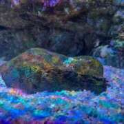 ヒメ日記 2026/03/07 10:40 投稿 しずく 電車ごっこ