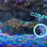 ヒメ日記 2026/03/07 12:53 投稿 しずく 電車ごっこ