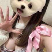 ヒメ日記 2026/04/09 10:26 投稿 しずく 電車ごっこ