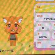 ヒメ日記 2026/05/11 12:00 投稿 しずく 電車ごっこ