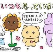 ヒメ日記 2026/06/11 05:00 投稿 しずく 電車ごっこ