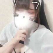 ヒメ日記 2026/06/24 11:20 投稿 しずく 電車ごっこ