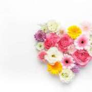 ヒメ日記 2025/07/29 21:19 投稿 藤原 さき こあくまな熟女たち三河店（KOAKUMAグループ）