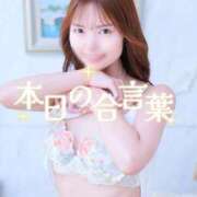 ヒメ日記 2026/02/14 02:31 投稿 あんり 奥様はエンジェル　立川店