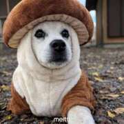 ヒメ日記 2026/02/20 02:06 投稿 あんり 奥様はエンジェル　立川店