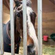 ヒメ日記 2026/02/21 04:07 投稿 あんり 奥様はエンジェル　立川店