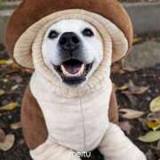 ヒメ日記 2026/03/25 15:10 投稿 あんり 奥様はエンジェル　立川店