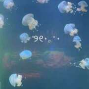 くらん 今年最後の♡// 宇都宮発～正統派清楚系デリヘル！ CHERIMO（シェリモ）