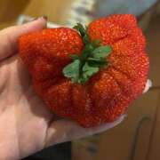 ヒメ日記 2025/01/21 19:10 投稿 柚香 佐世保人妻デリヘル「デリ夫人」