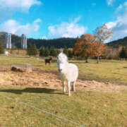 ヒメ日記 2024/11/23 07:11 投稿 ひまり 排泄マニア