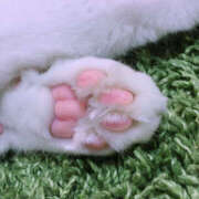 ヒメ日記 2025/01/20 20:02 投稿 ひまり 排泄マニア