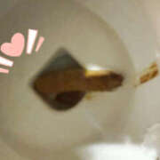 ヒメ日記 2025/01/21 07:16 投稿 ひまり 排泄マニア