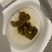 ヒメ日記 2025/01/21 18:02 投稿 ひまり 排泄マニア