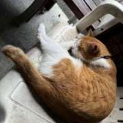 ヒメ日記 2025/01/22 15:19 投稿 ひまり 排泄マニア