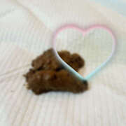 ヒメ日記 2025/01/25 12:24 投稿 ひまり 排泄マニア