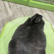 ヒメ日記 2025/01/25 17:39 投稿 ひまり 排泄マニア