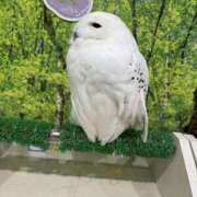 ヒメ日記 2025/01/26 17:36 投稿 ひまり 排泄マニア